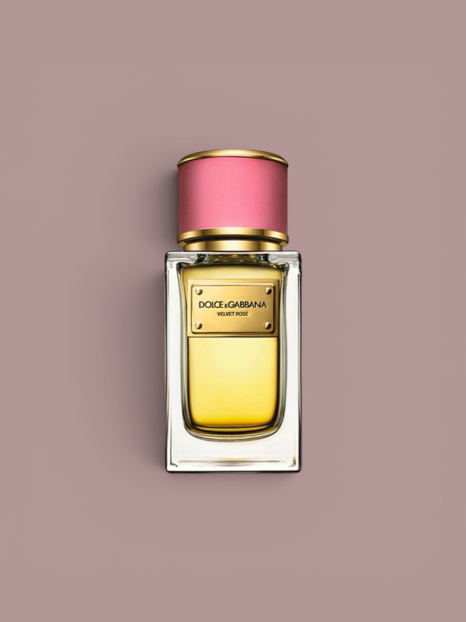 Dolce & Gabbana - Velvet Rose
