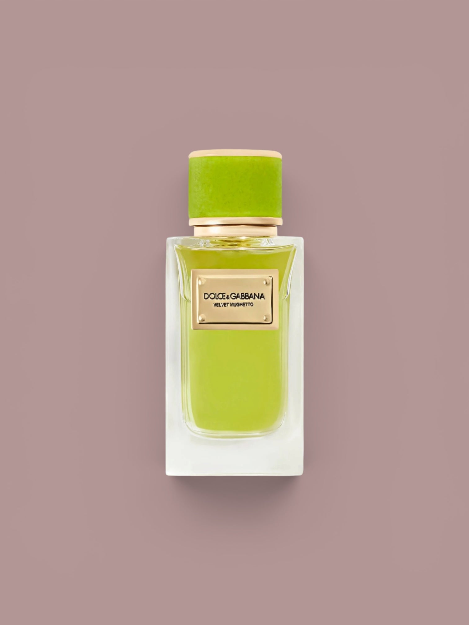 Dolce & Gabbana - Velvet Mughetto